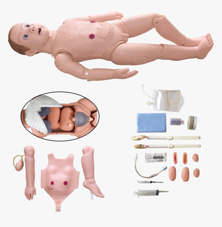 Nursing, HD Png Download, Free Download