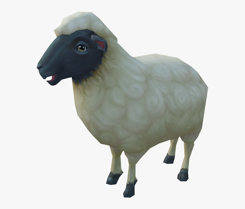 Sheep, HD Png Download, Free Download