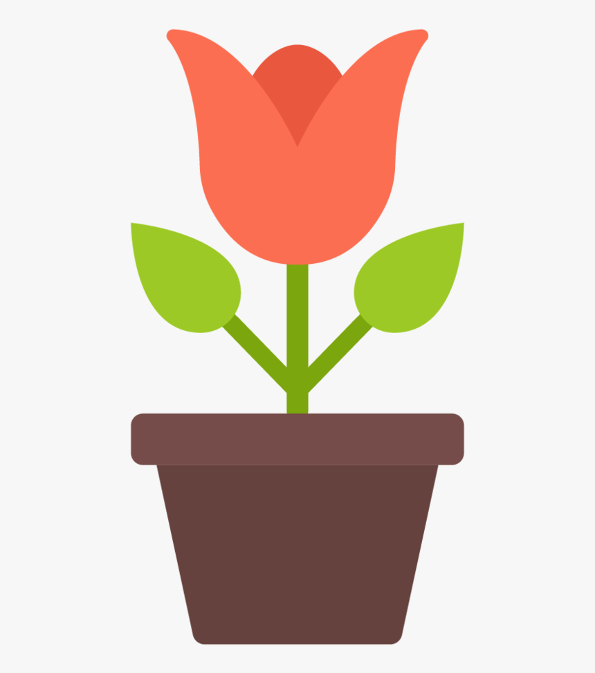 Tulip-plant - Flowerpot, HD Png Download, Free Download