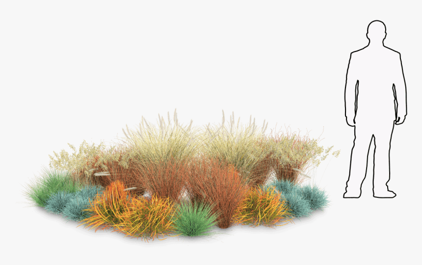 Grass, HD Png Download, Free Download