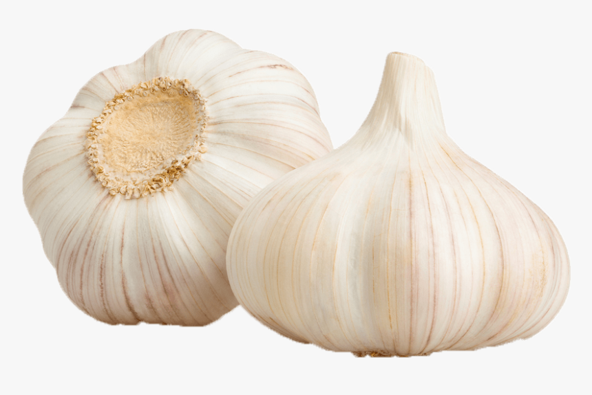 Elephant Garlic, HD Png Download, Free Download