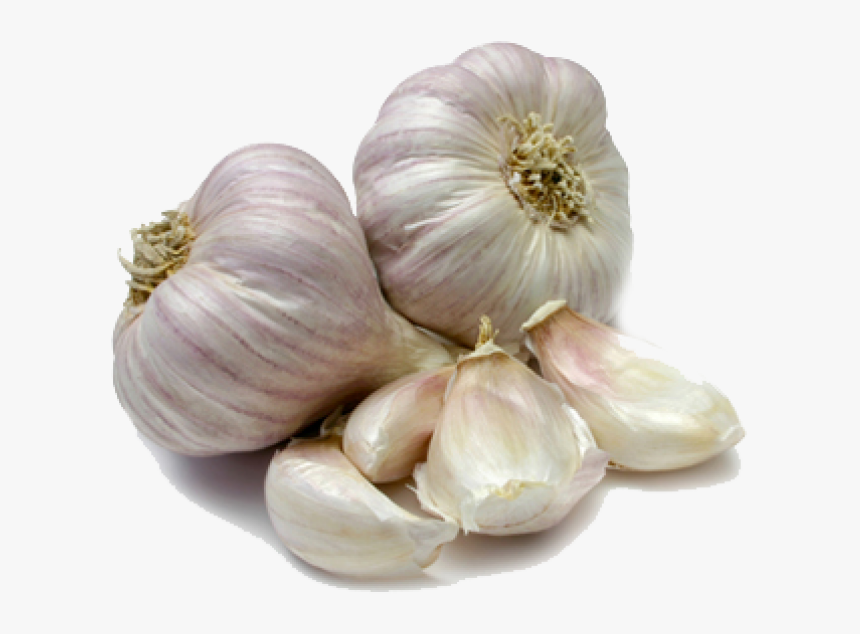 Pilingui S House Google - Garlic Vegetables, HD Png Download, Free Download
