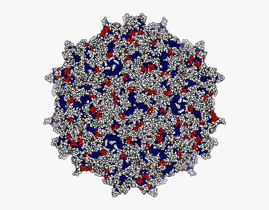 Illustration Of A Spherical Virus - Pamam Dendrimer Generation 7, HD Png Download, Free Download