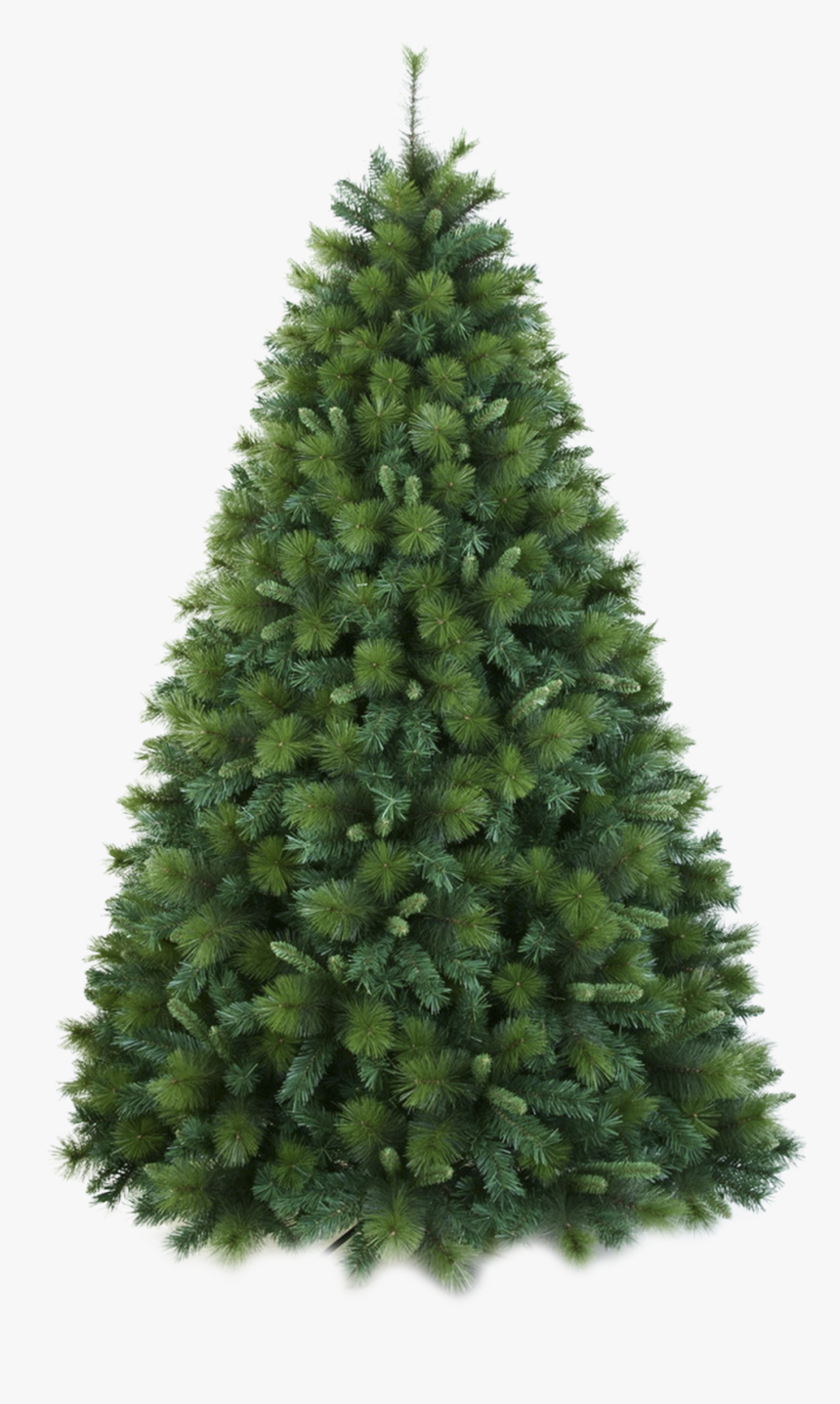 Artificial Christmas Tree Douglas Fir - Douglas Fir Tree Png, Transparent Png, Free Download