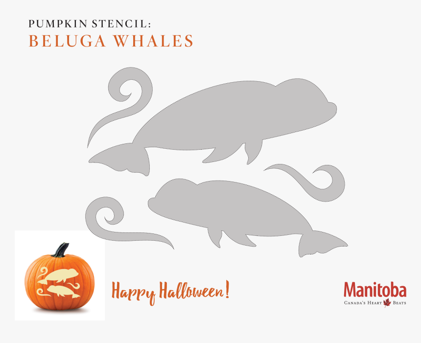 Beluga Whale Pumpkin Carving Stencil - Beluga Whale Pumpkin Carving, HD Png Download, Free Download
