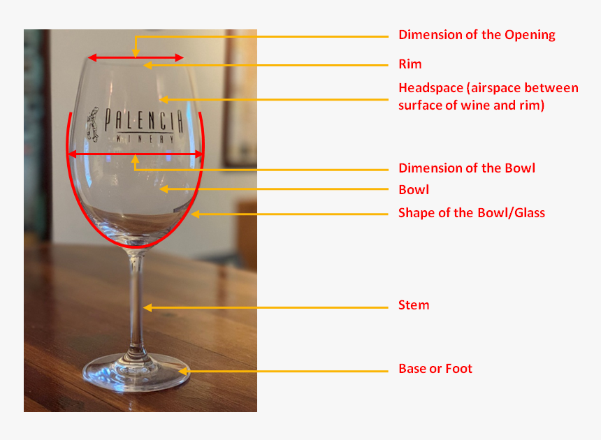 Wine Glass, HD Png Download, Free Download