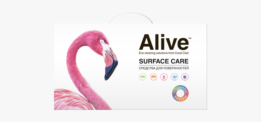 Greater Flamingo, HD Png Download, Free Download