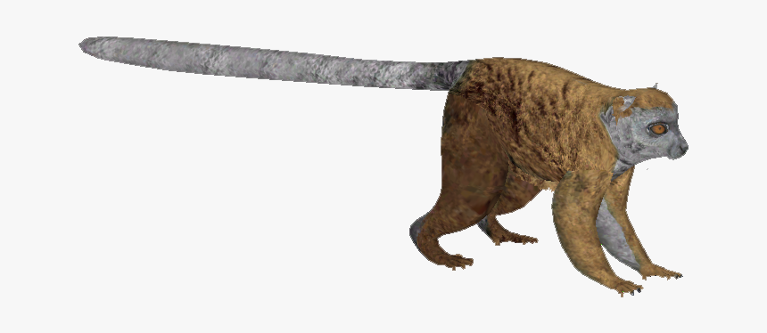 Cougar, HD Png Download, Free Download