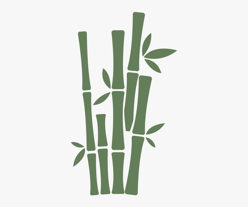 Bamboo - Illustration, HD Png Download, Free Download