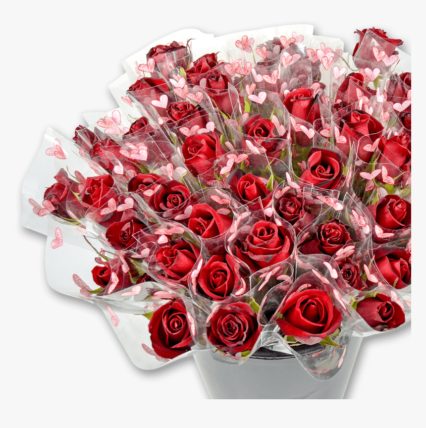 Rosa Vermelha - Garden Roses, HD Png Download, Free Download