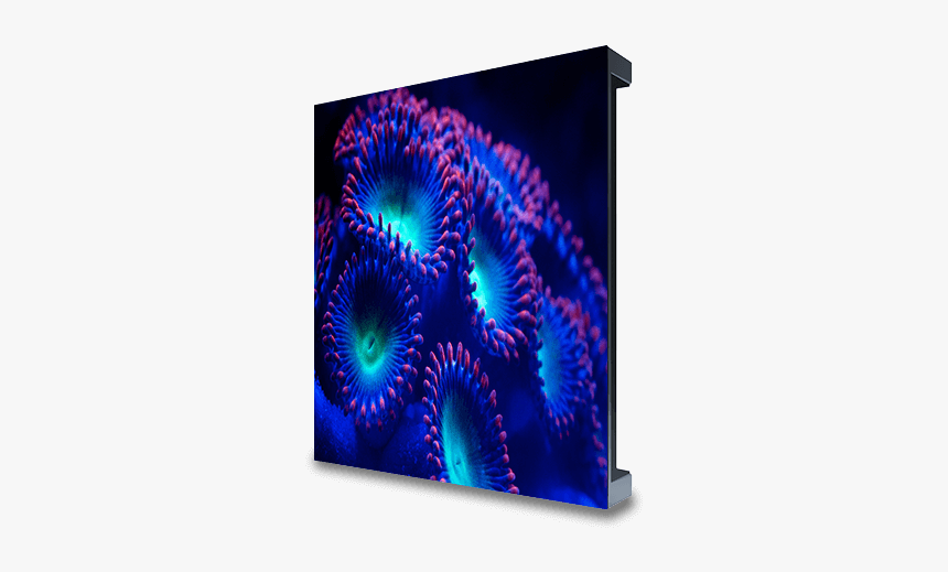 Fractal Art, HD Png Download, Free Download