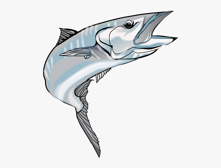 Kingfish Png Image - Wahoo Png, Transparent Png, Free Download