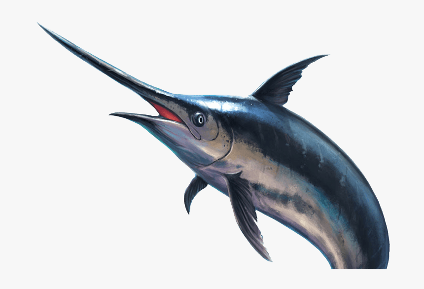 Image - Real Swordfish Transparent, HD Png Download, Free Download