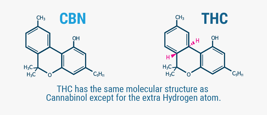 Cbn Vs Thc Molecule, HD Png Download, Free Download