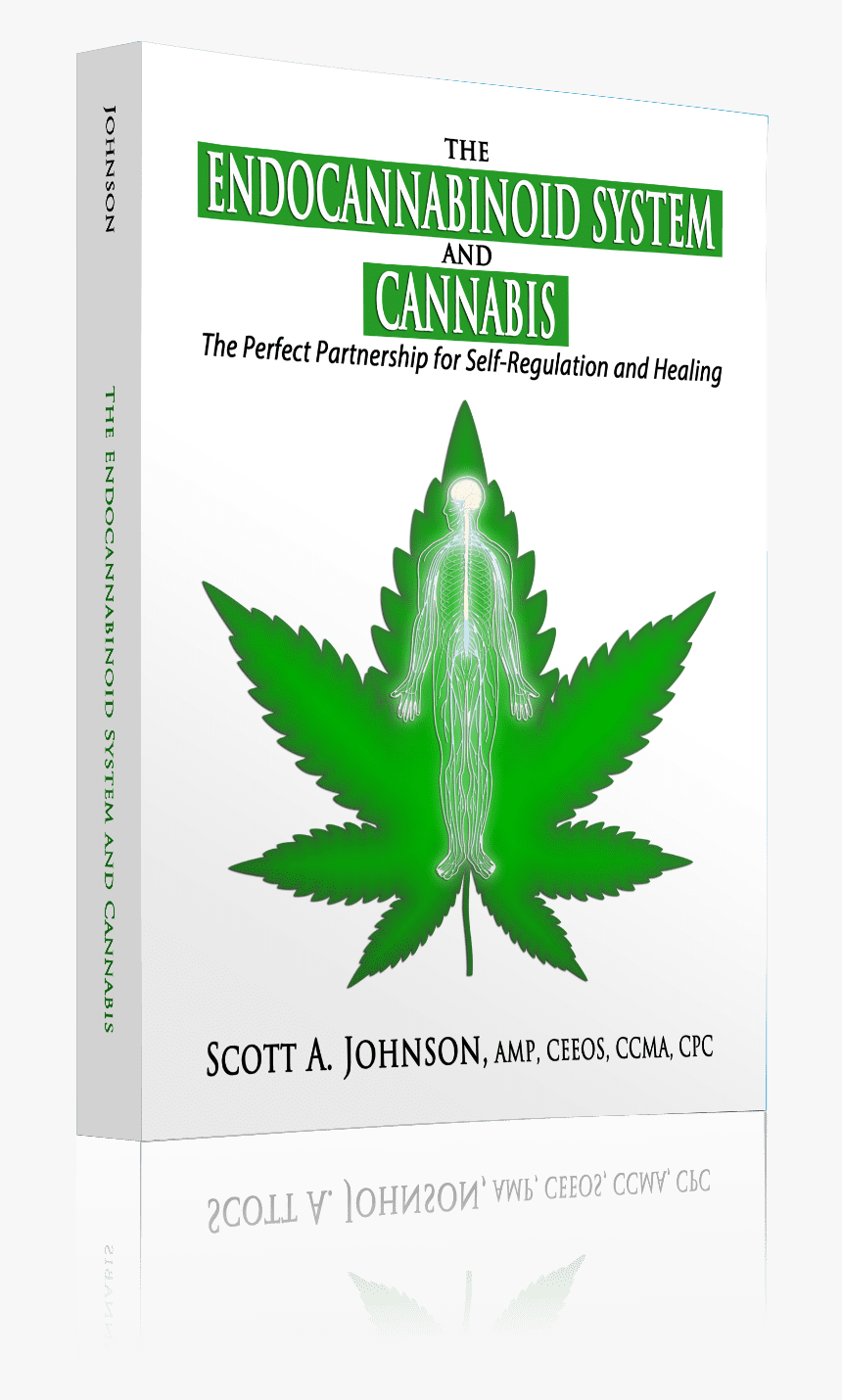 Marijuana Leaf Png, Transparent Png, Free Download