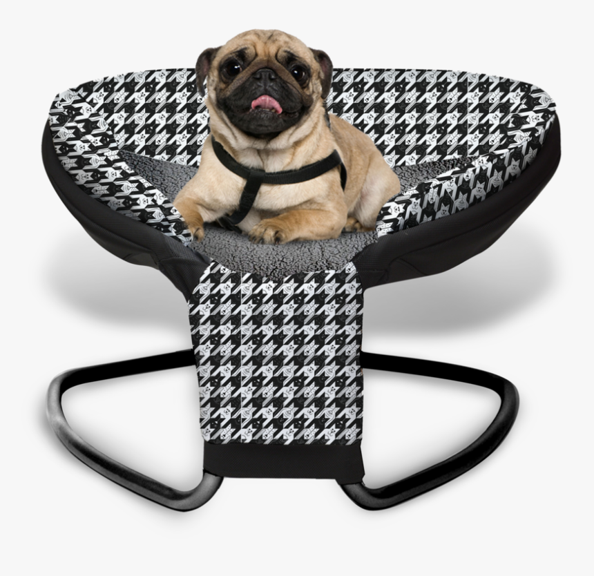 Productmainimage - Pet, HD Png Download, Free Download