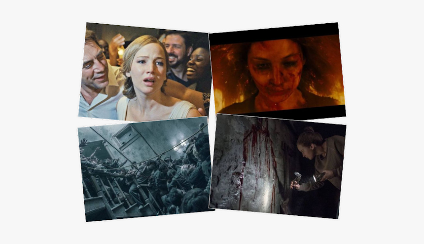 Collage, HD Png Download, Free Download