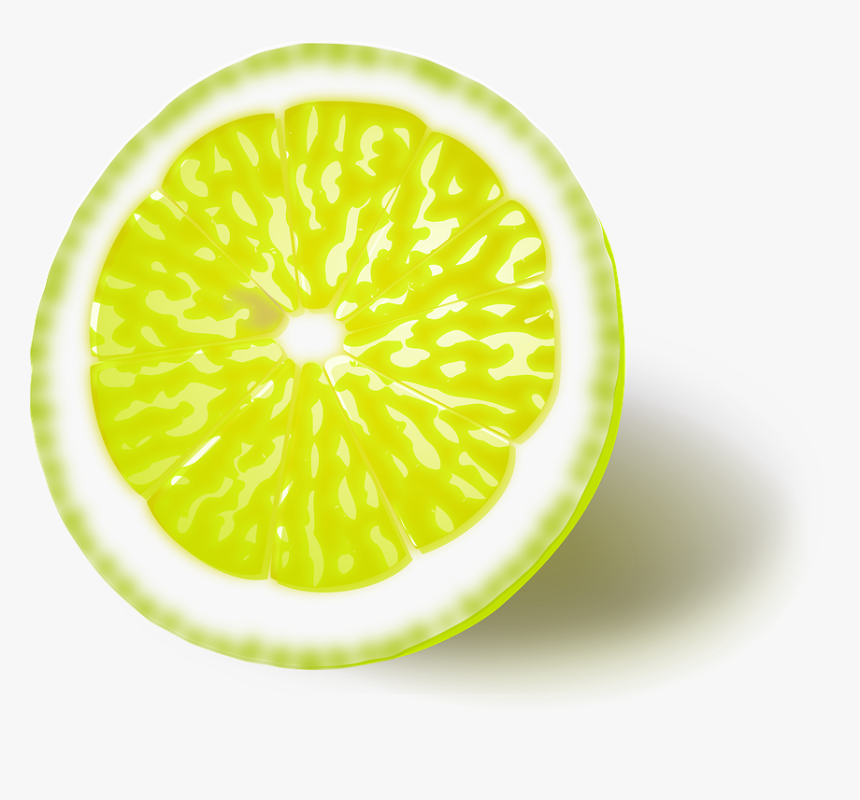 Fruit Clipart Citrus Clipart Fruit Digital Paper Lemon - Lemon, HD Png Download, Free Download