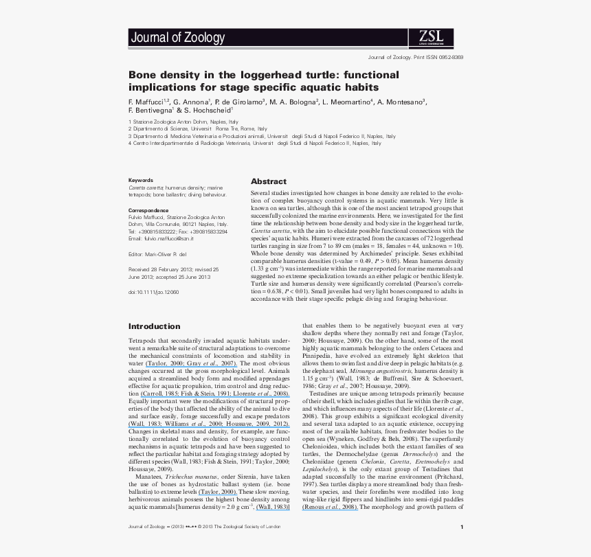 Folio Thirteen From Burchard Of Sion's De Locis Ac, HD Png Download, Free Download