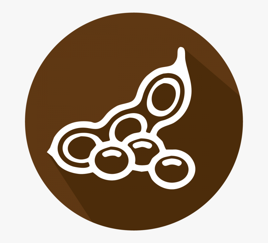 Illustration, HD Png Download, Free Download