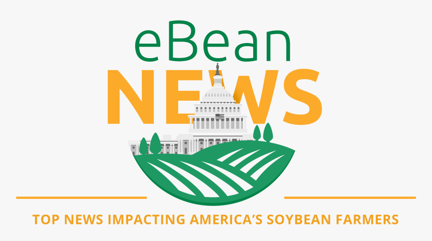 Fête De La Musique, HD Png Download, Free Download