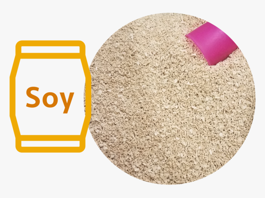 Icon-soy - Circle, HD Png Download, Free Download