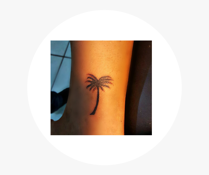 #palmera #tropical - Temporary Tattoo, HD Png Download, Free Download