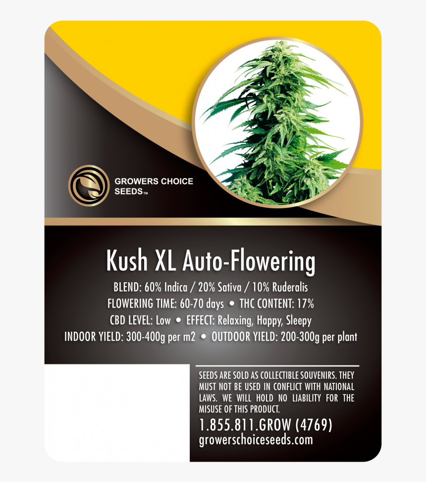 Kush Xl Auto-flowering Feminized Cannabis Seeds - Skunk Auto Flower, HD Png Download, Free Download