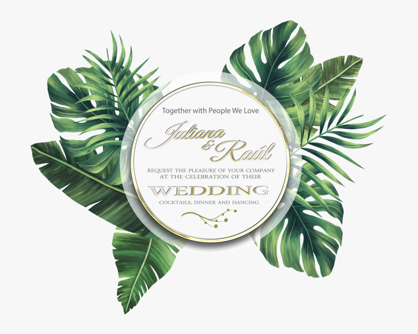 Free Frame Tropical, HD Png Download, Free Download