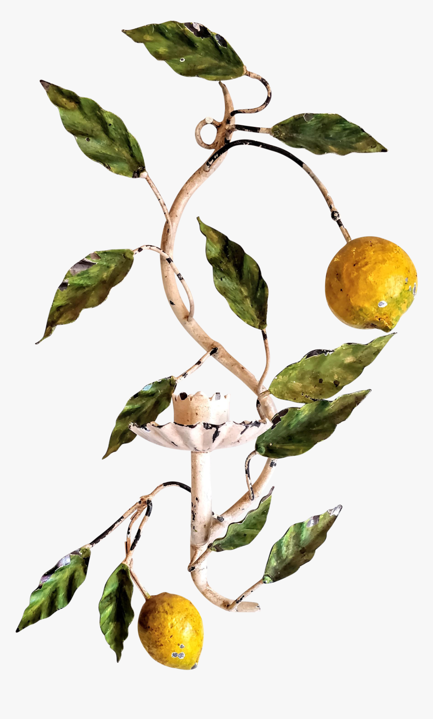 Vintage Lemon Png - Citrus, Transparent Png, Free Download