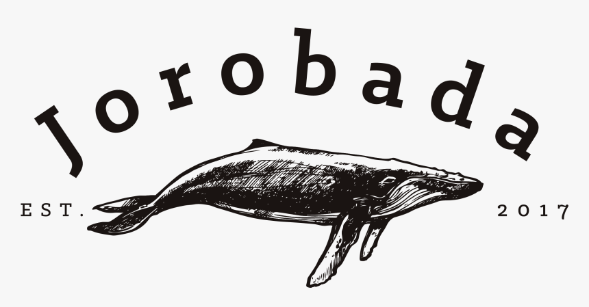 Humpback Whale, HD Png Download, Free Download