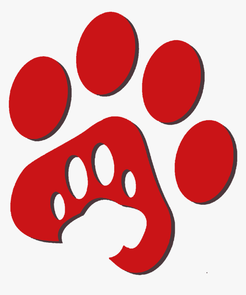 Pet Insurance, HD Png Download, Free Download