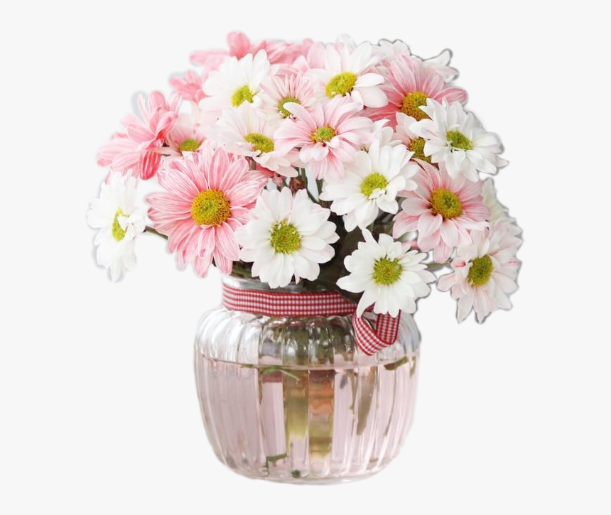 Vaso De Crisântemo Rosa Branco - Daisy, HD Png Download, Free Download