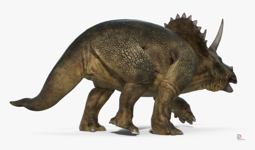 Triceratops, HD Png Download, Free Download