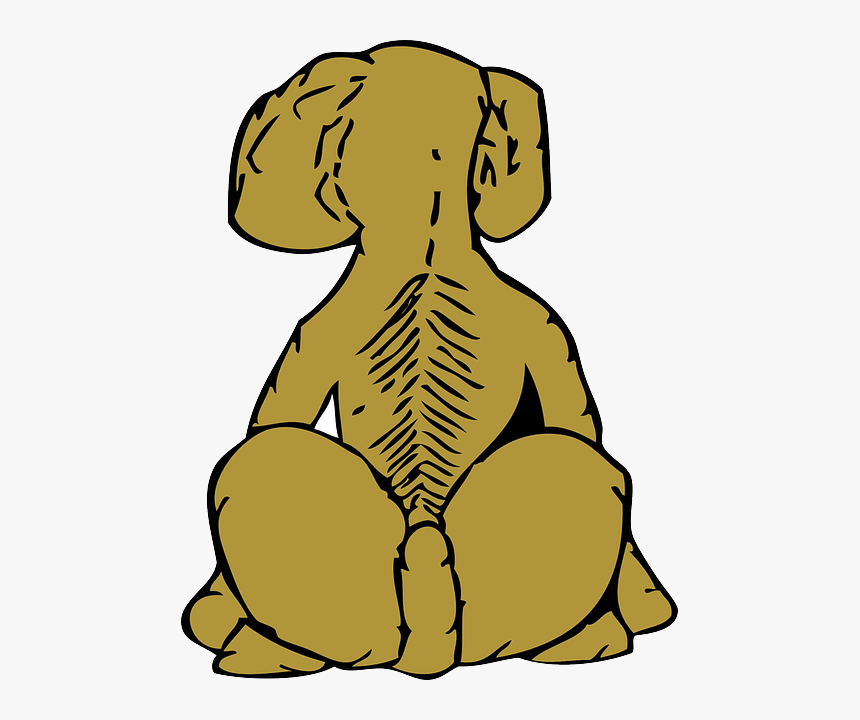 Back, Dog, Pet, Animal, Tail, Rear, Sit, Sitting - Dogs Back Cartoon Clipart, HD Png Download, Free Download