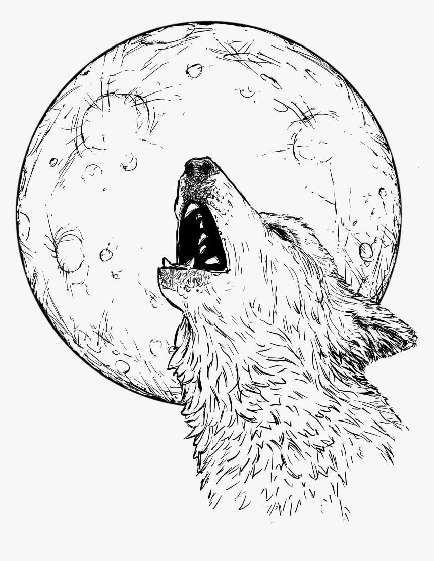 Wolf Howling At Moon - Sketch, HD Png Download, Free Download