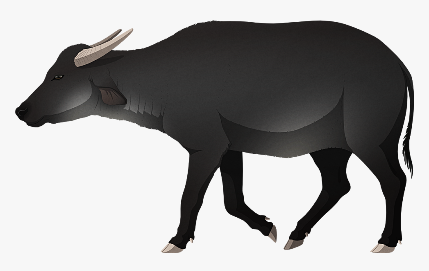 A Stylized Illustration Of An Extinct Dwarf Water Buffalo - Water Buffalo, HD Png Download, Free Download