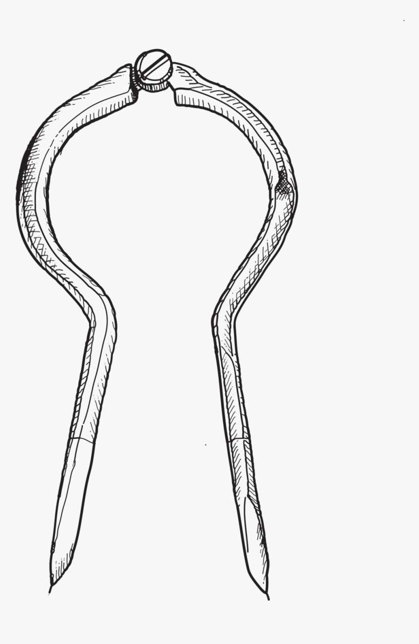 Compass, HD Png Download, Free Download