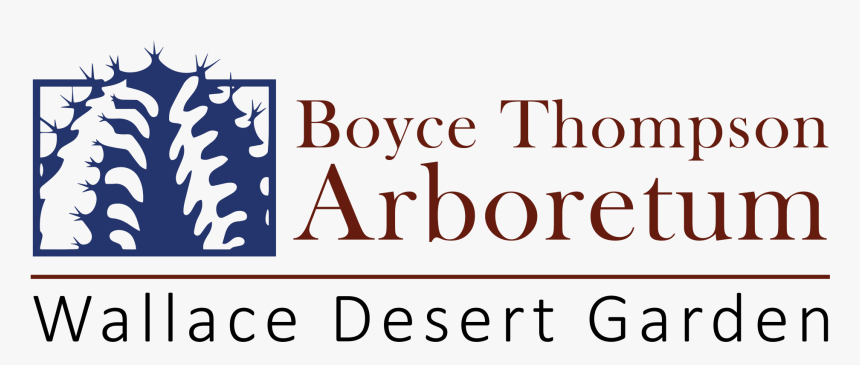 Venetian Ghetto, HD Png Download, Free Download