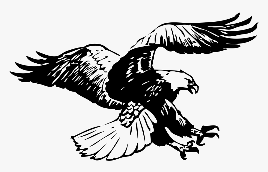 Eagle Black And White Clip Black And White Download - Eagle Clip Art Black And White, HD Png Download, Free Download