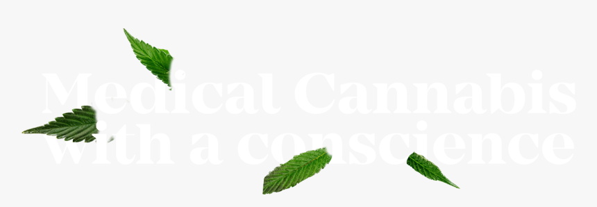 Graphic Design, HD Png Download, Free Download