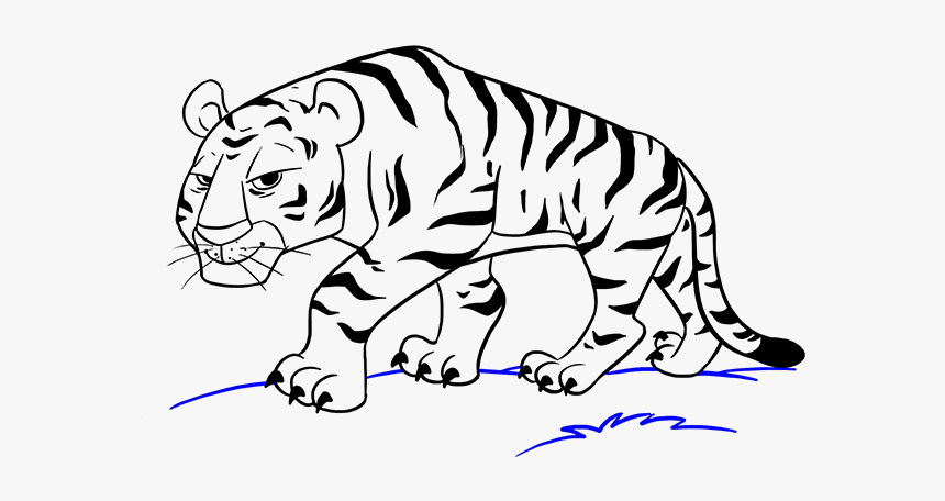 Drawing Tigers Hipster - Cartoon Drawing Of Tiger, HD Png Download, Free Download