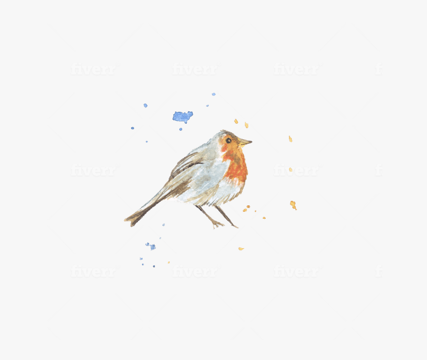 European Robin, HD Png Download, Free Download