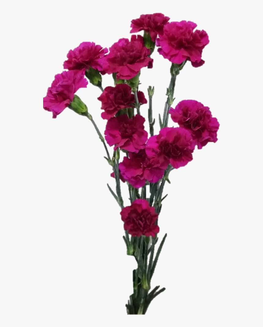 Spray Epsilon Jpgf44ca817 72f5 Acdc 809c 37ba99c3e383 - Bouquet, HD Png Download, Free Download