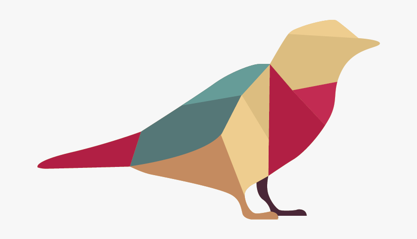 Parrot, HD Png Download, Free Download
