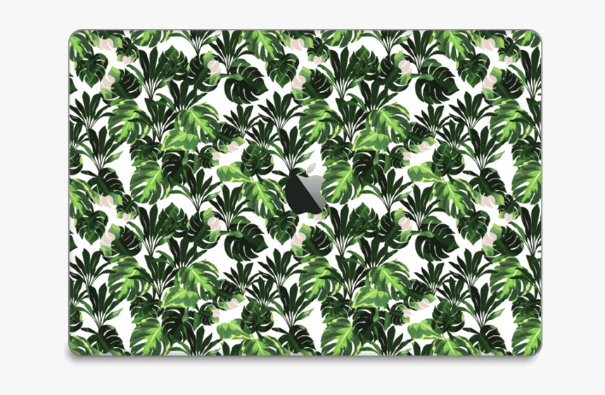 Hojas Verdes Vinilo Macbook Pro 15” 2016- - Arrowroot Family, HD Png Download, Free Download