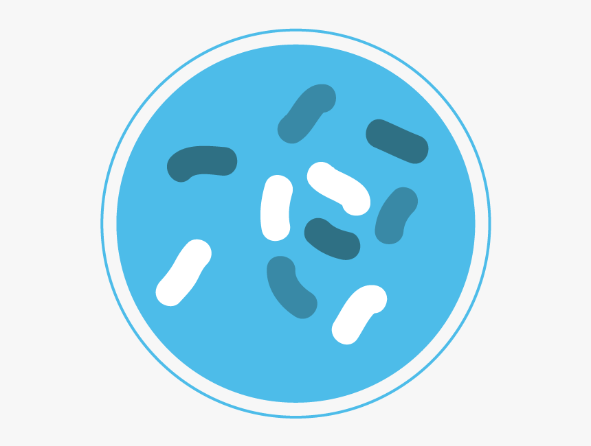 Bacteria Png - Microorganism Icon Png, Transparent Png, Free Download