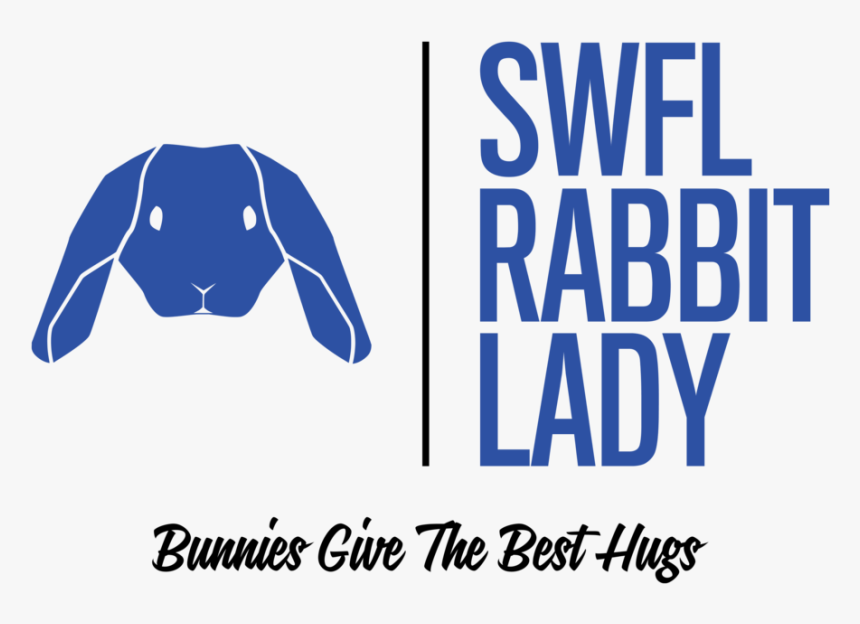 Logo Transparent Background, HD Png Download, Free Download