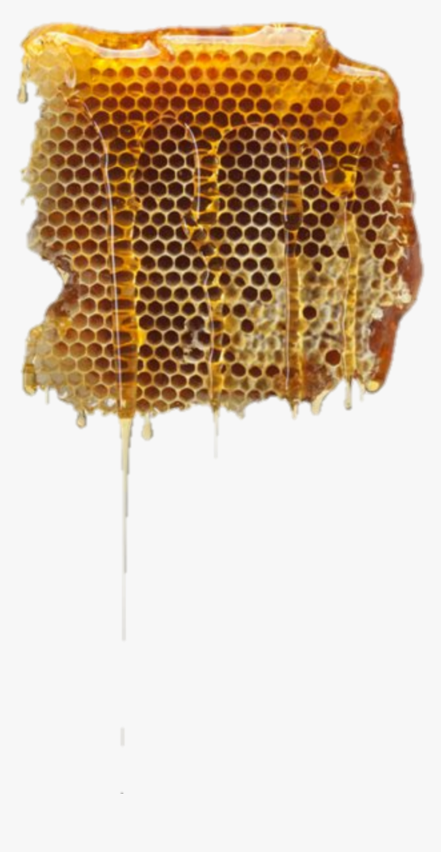 #honey #sweet #beehive - Beehive Png, Transparent Png, Free Download