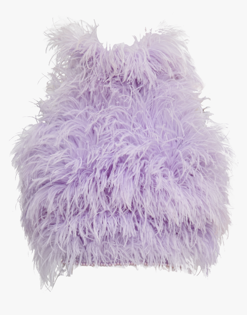 Fur Clothing, HD Png Download, Free Download